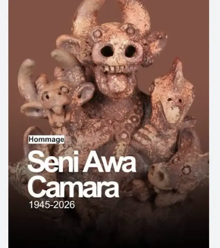 seyni-awa-camara-musee-du-quai-branly